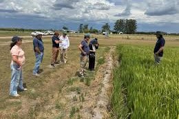 Dra. Pam Marrone ragricultura visitó INIA
