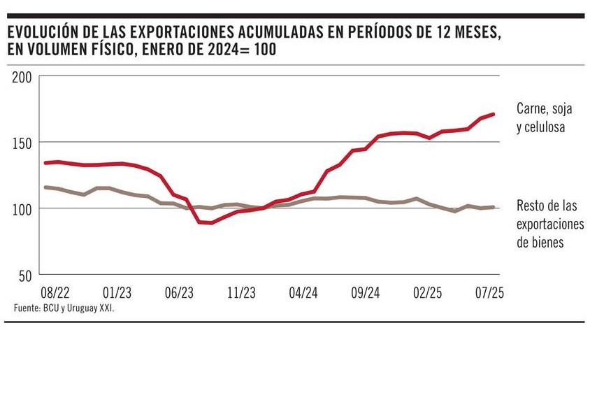 grafico de la semana