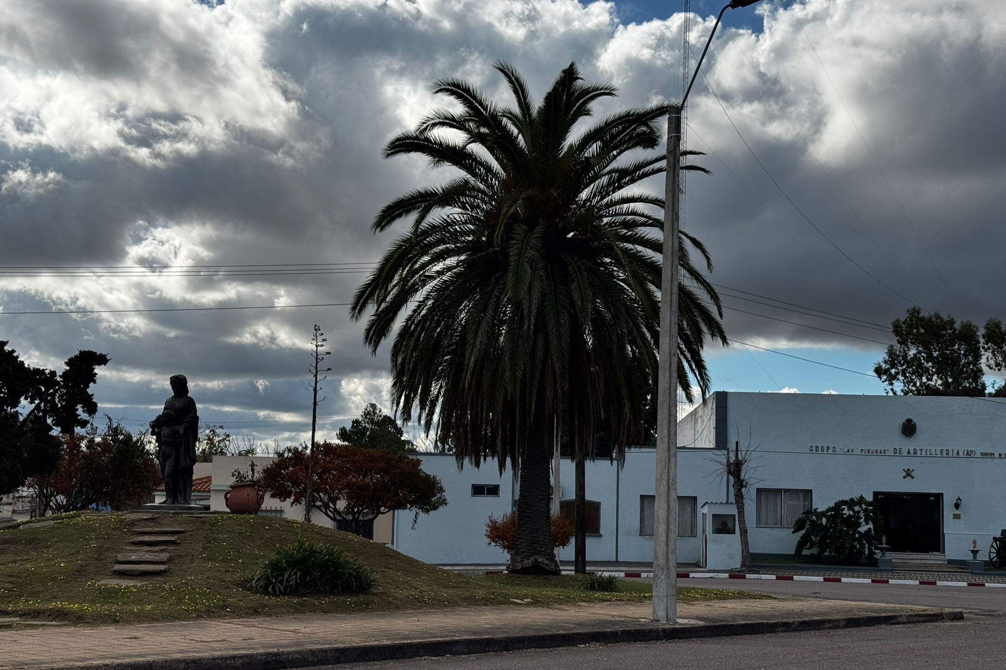 Fumigación contra el Picudo Rojo