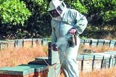 apicultores oportunidad