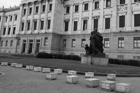 apicultores palacio legislativo