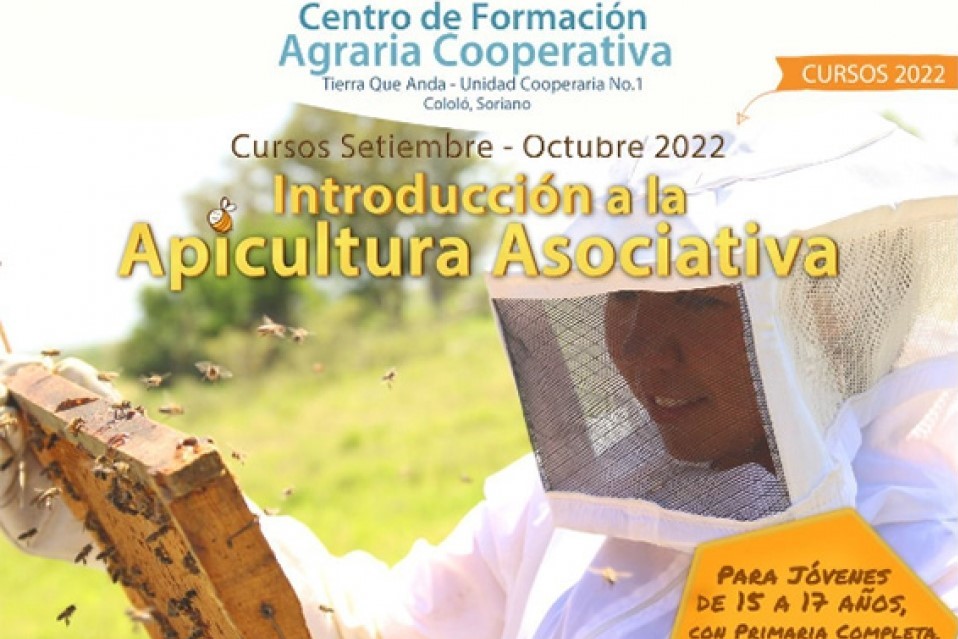apicultura curso