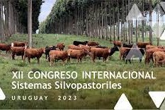 congreso internacional silvopastoriles8