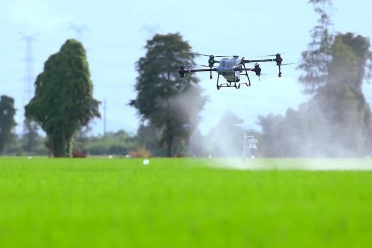 drones cultivo