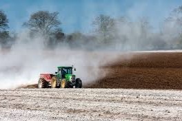 eliminación de carbono