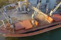 fertilizantes tienden al alza