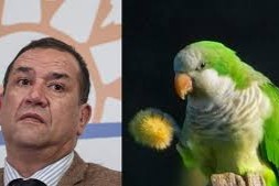loro