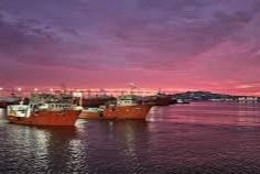 pesca exprese económico