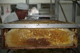 sector miel
