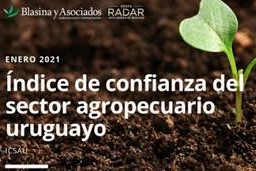 sector agropecuario uruguayo
