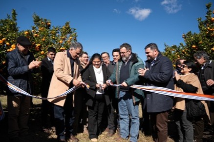 zafra naranja e