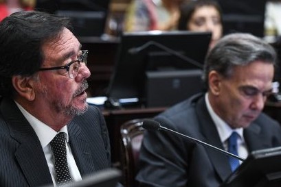 Senadores Guastavino Pichetto