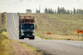 Forestal afirmó cuidar caminos