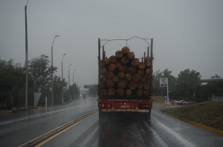 camioneros9