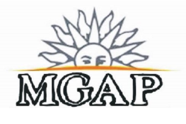 El MGAP