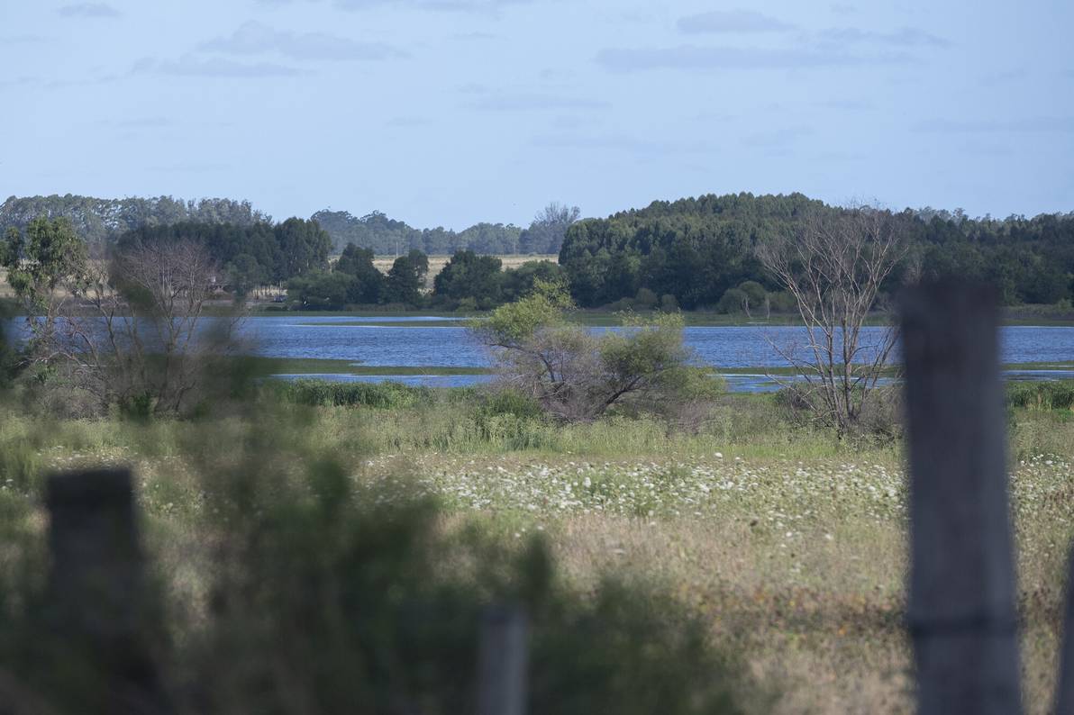 Zona de Laguna del Cisne