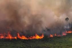 incendios forestales en Brasil