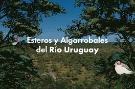 Esteros y Algarrobales del Río Uruguay6