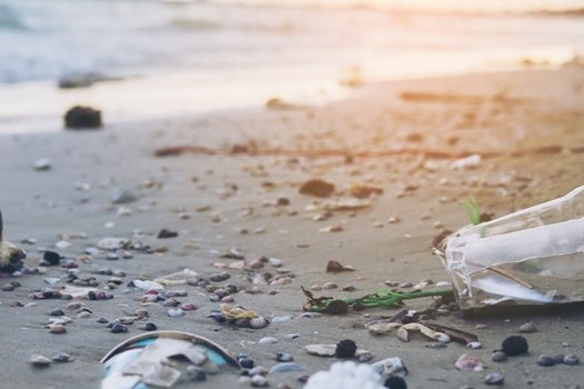 Basura en la playa.3