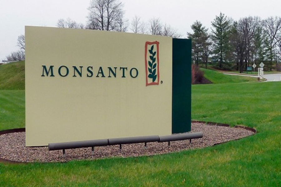 Monsanto muro