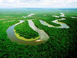 Amazonas meandreos