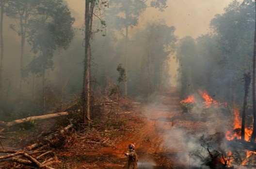 Incendios en la Amazonia.R