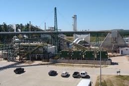 biomasa amplia ventaja sobre el petroleo