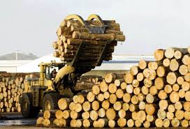 produccion madera