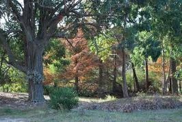 Senderos de la Foresta