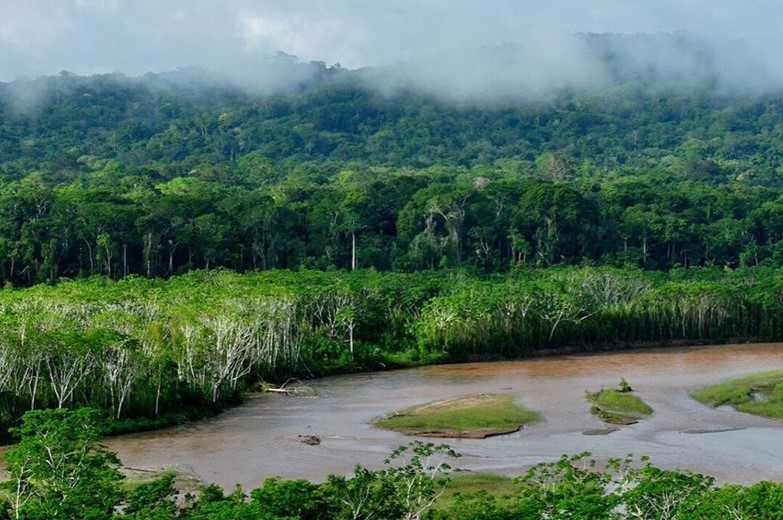 selva amazónica