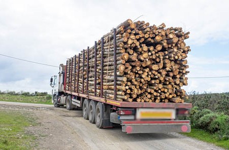 camion con troncos
