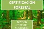 certificado forestal