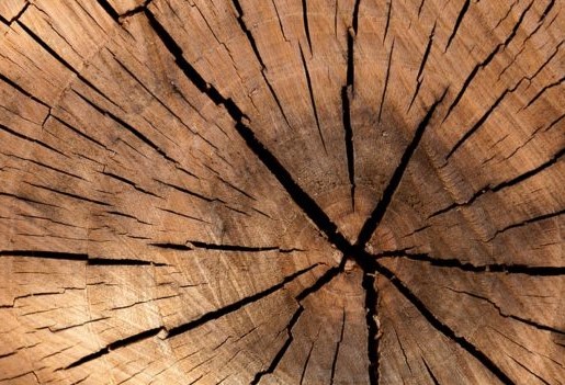 madera biomasa