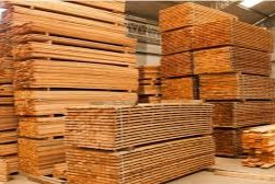 exportador foresto industrial argentino