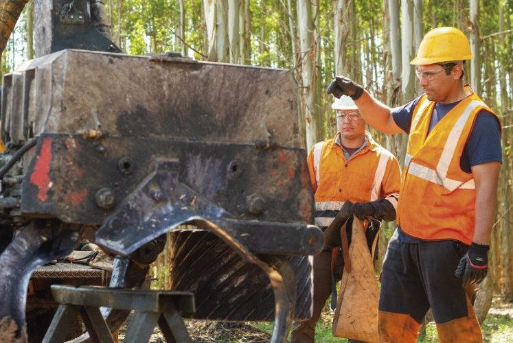 forestal logística
