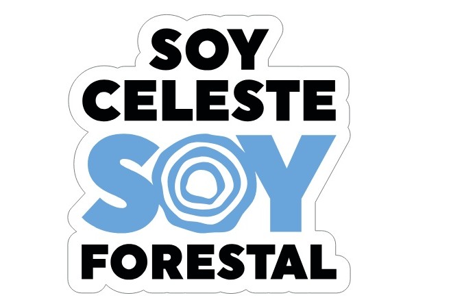 soy celeste3