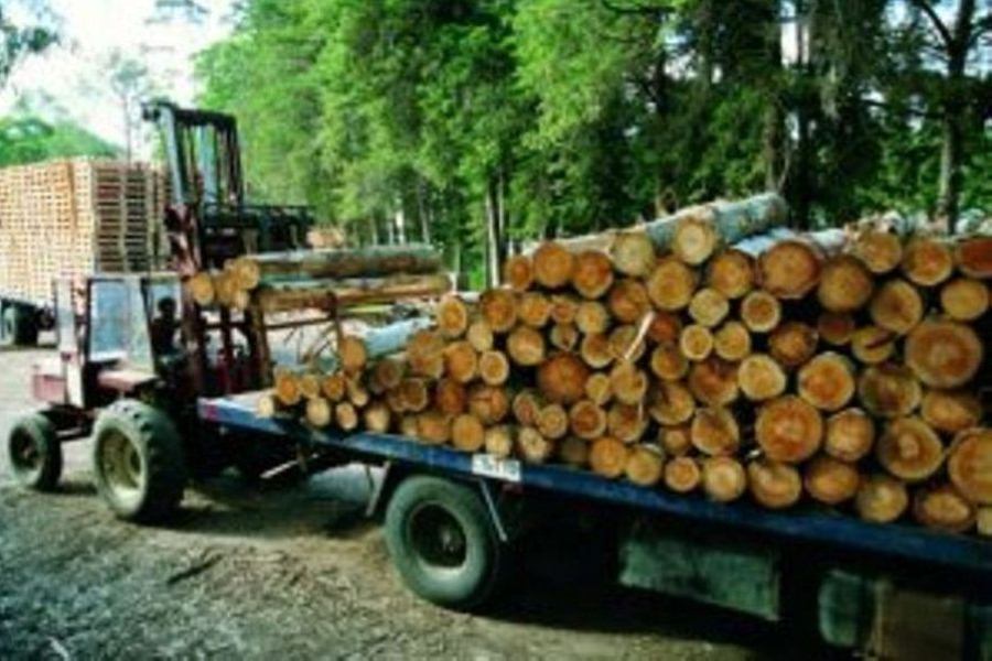 transporte madera