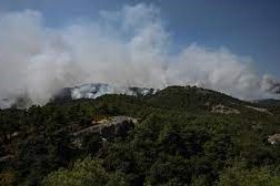 Grecia enfrenta el incendio forestal