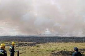 Incendio de campo cerca de Lascano