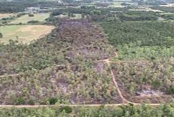 Incendio forestal pando