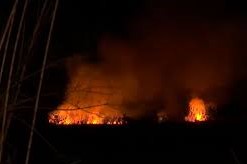 Incendio forestal en Paso de la Arena