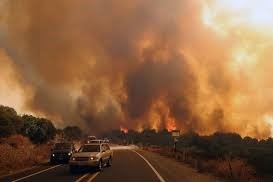 Incendios forestales89