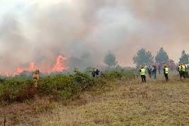 Perú decretó iincendios forestales9