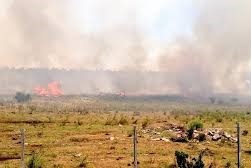 Productores brasileños temen por los incendios6