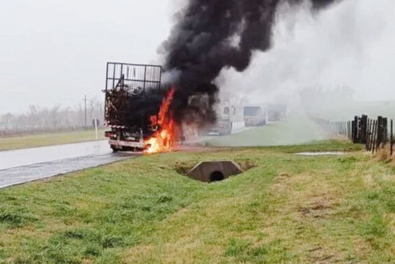 camion madera