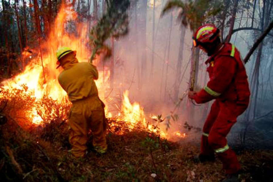 incendio forestalprevenir