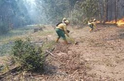 incendio forestal en Rincón de las Mulas