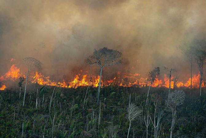 incendios amazonia