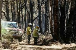 incendios forestales amenazan