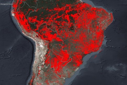 incendios forestales9